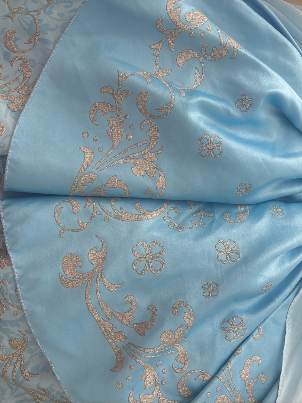 Disney Cinderella Princess Costume Dress - Picture 6 of 7